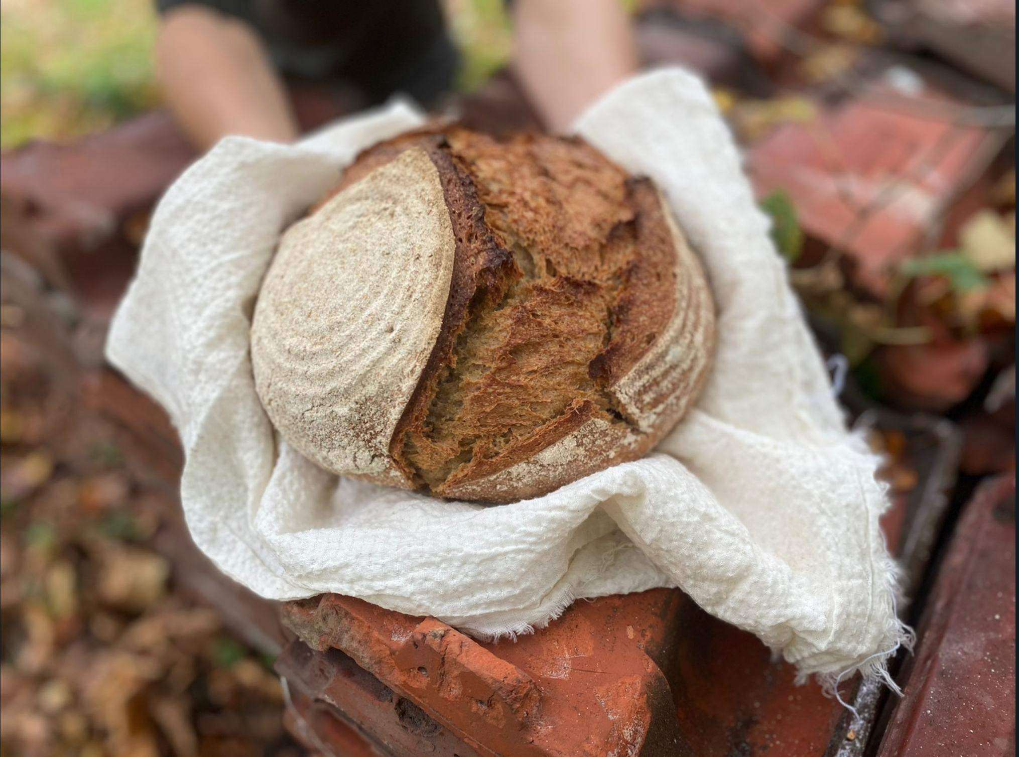 Handgekneed en handgevormd zuurdesem biologisch brood uit Makkinga Friesland. Lokale ingredienten uit Groningen en Frieslkand.