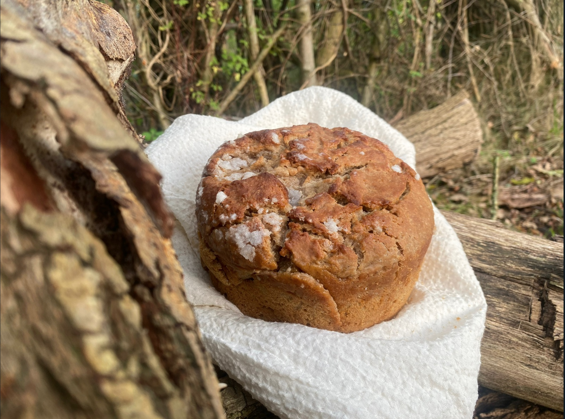 Handgekneed en handgevormd zuurdesem biologisch brood uit Makkinga Friesland. Lokale ingredienten uit Groningen en Frieslkand.