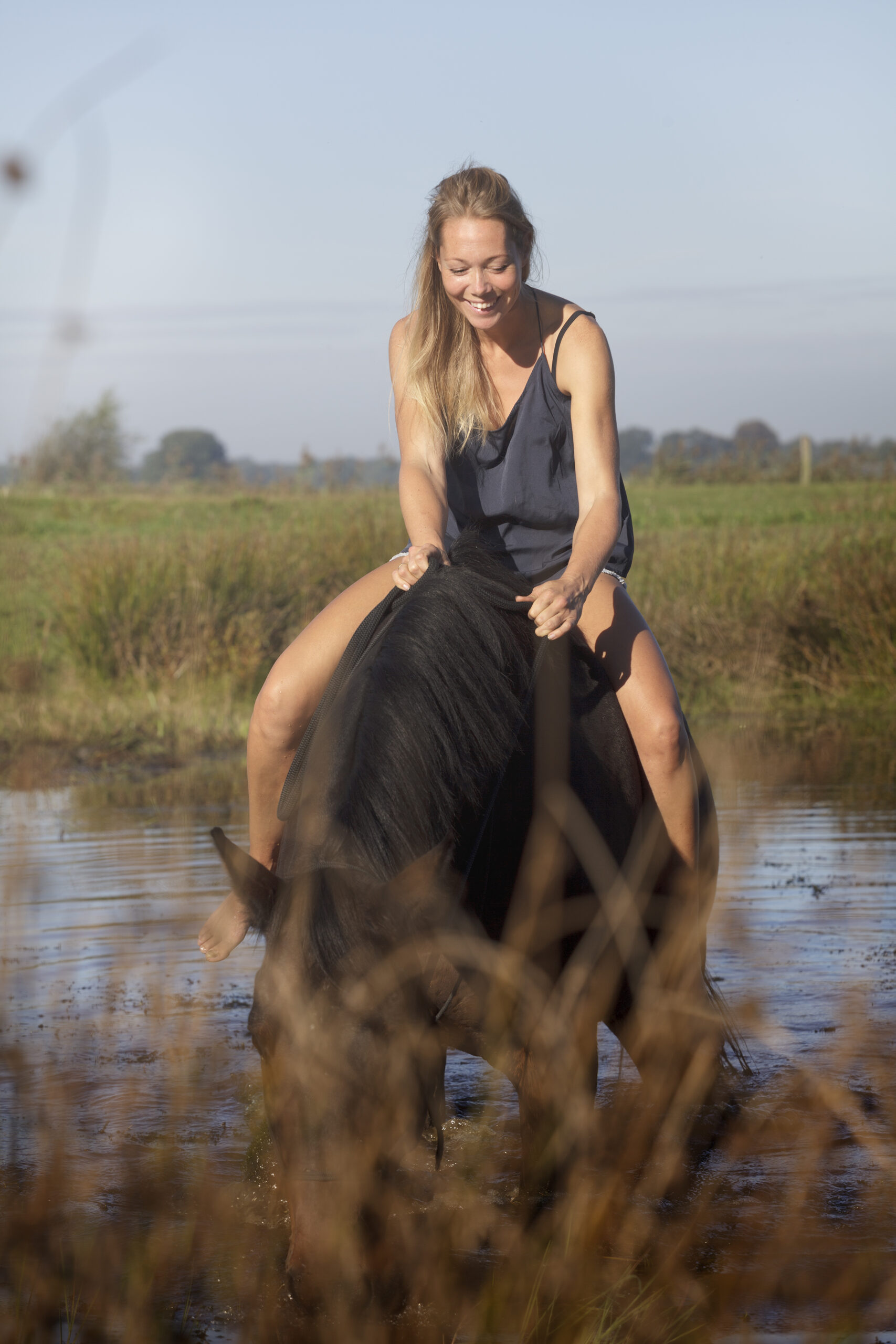 Eef Veenstra Horsemanship educatie probleem paard cursus les makkinga Eef Veenstra Horsemanship educatie probleem paard cursus les makkinga