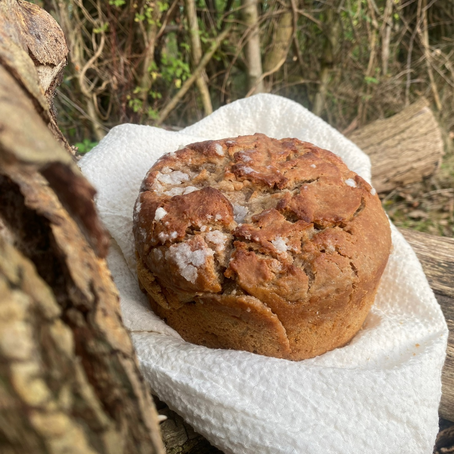 Handgekneed en handgevormd zuurdesem biologisch brood uit Makkinga Friesland. Lokale ingredienten uit Groningen en Frieslkand.