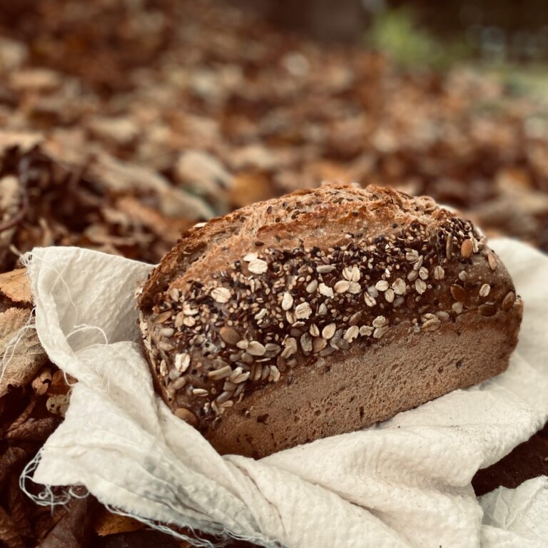 Biologich zuurdesem zaden en pitten  cereal brood bakkerij het lage woud makkinga 