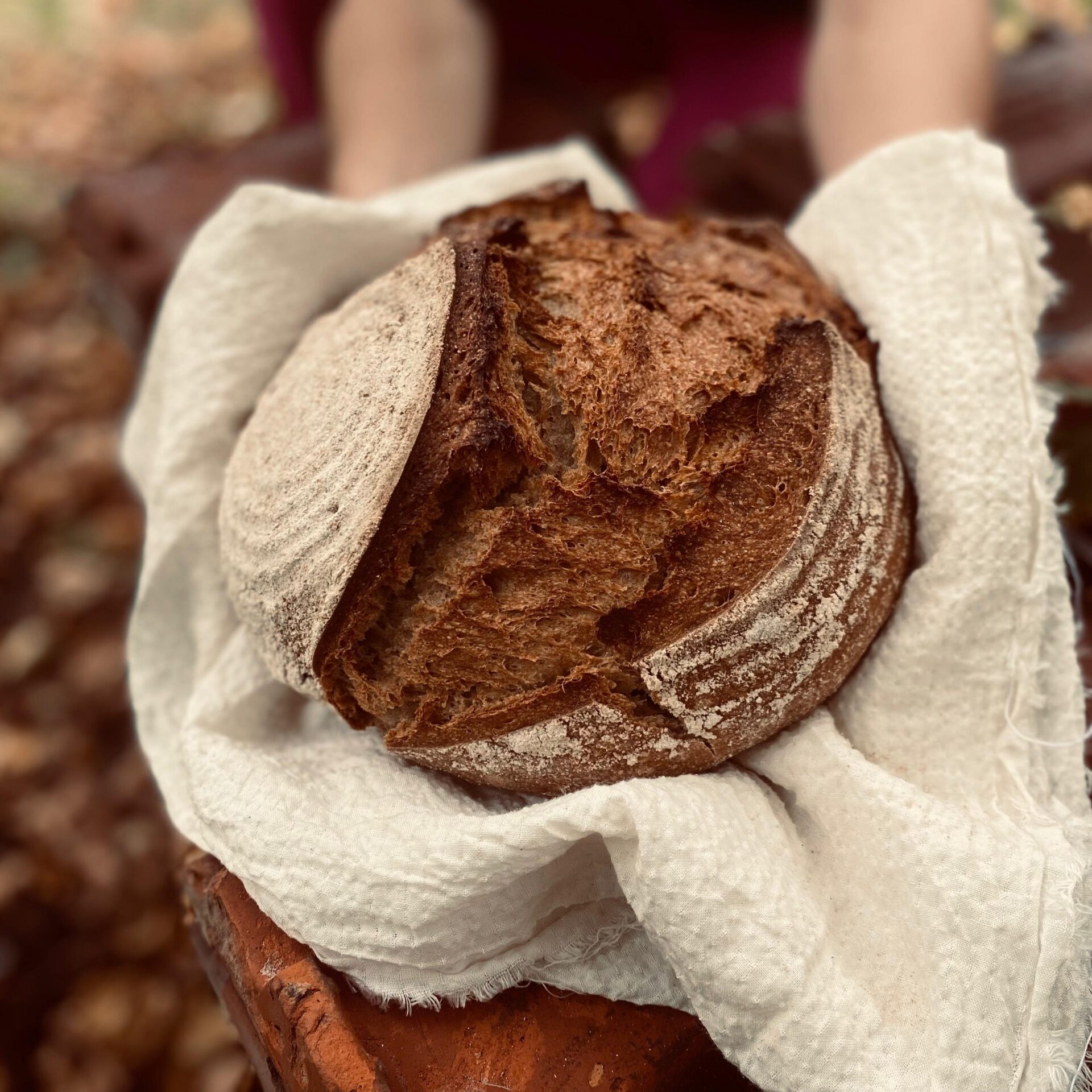 Handgekneed en handgevormd zuurdesem biologisch brood uit Makkinga Friesland. Lokale ingredienten uit Groningen en Friesland.